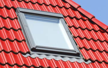 roof windows Bedwell